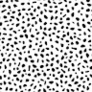 Meet your Posher, Abbey